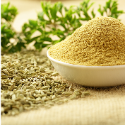 Fennel Seed Extract