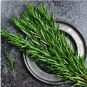 Rosemary Extract