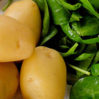 Vitamin B6 (Pyridoxine)
